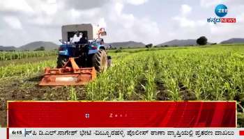 Hundreds of acres of agricultural land have been destroyed by heavy rains