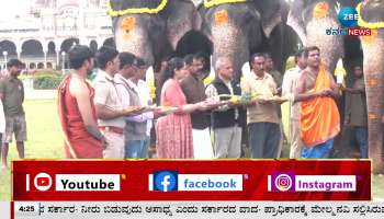 Special Puja for Dasara Gajapade in Mysore 