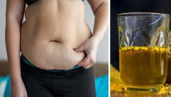 ಪ್ರತಿದಿನ ಬೆಳಗ್ಗೆ ಖಾಲಿ ಹೊಟ್ಟೆಯಲ್ಲಿ ಈ ಬೀಜದ ನೀರನ್ನು ಕುಡಿದರೆ ಒಂದೇ ವಾರದಲ್ಲಿ ಸರಾಗವಾಗಿ ಕರಗುತ್ತೆ ಸೊಂಟದ ಬೊಜ್ಜು!  