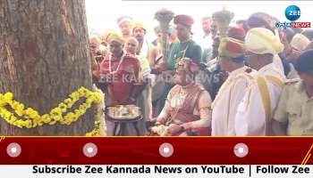 Yaduveer Wodeyar worshiped the banni tree in palace