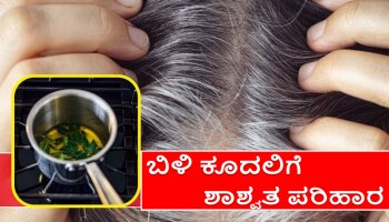 White Hair : ಬಿಳಿ ಕೂದಲನ್ನು ಕಪ್ಪಾಗಿಸುವ ಮಾಂತ್ರಿಕ ಎಣ್ಣೆ ಇದು!