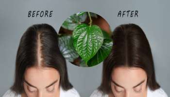 ವೀಳ್ಯದೆಲೆಯಿಂದ ಹೀಗೆ ಮಾಡಿದರೆ ದಟ್ಟ ಕೂದಲು ನಿಮ್ಮದಾಗುತ್ತದೆ..!