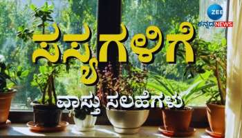 Vastu Tips: ಮನೆಯಲ್ಲಿರುವ ಈ ಗಿಡಗಳು ದುರಾದೃಷ್ಟದ ಜೊತೆಗೆ ಕುಟುಂಬದ ಸಂತಸವನ್ನೇ ಕಸಿಯುತ್ತವೆ!  