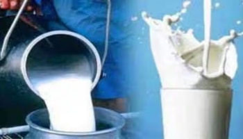 Cow Milk Vs Buffalo Milk: ಹಸುವಿನ ಹಾಲು Vs ಎಮ್ಮೆ ಹಾಲು ಯಾವುದು ಹೆಚ್ಚು ಆರೋಗ್ಯಕರ?