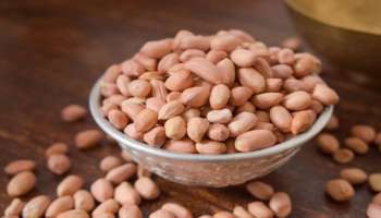 Peanuts Benefits: ಚಳಿಗಾಲದಲ್ಲಿ ಶೇಂಗಾ ತಿನ್ನುವುದು ಆರೋಗ್ಯಕ್ಕೆ ಬೆಸ್ಟ್​ ಅಂತೆ 