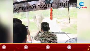 Elephant safari vehicle video viral in bandipur 