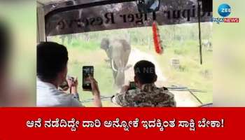 Viral Video: ಬಂಡೀಪುರದಲ್ಲಿ ಸಫಾರಿ ವಾಹನಕ್ಕೆ ಬೇರೆ ದಾರಿ ತೋರಿದ ಸಲಗ!! 