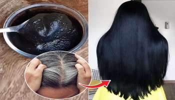 ಇದ್ದಿಲು ಇದ್ದರೆ ಸಾಕು… ಬಿಳಿಕೂದಲನ್ನು 5 ನಿಮಿಷದಲ್ಲಿ ನೈಸರ್ಗಿಕವಾಗಿ ಬುಡದಿಂದಲೇ ಕಪ್ಪಾಗಿಸಬಹುದು!