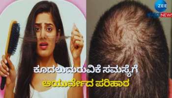 Hair Care Tips: ಕೂದಲಿನ ಹಲವು ಸಮಸ್ಯೆಗಳಿಗೆ ವರದಾನವಿದ್ದಂತೆ ಈ ಬೀಜಗಳು 