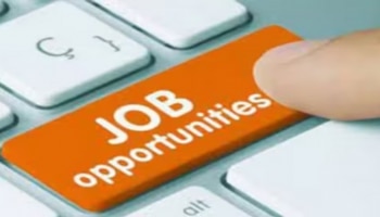 Job Alert: ಸಾರಿಗೆ ಇಲಾಖೆಯಲ್ಲಿ ಶೀಘ್ರವೇ 9,000 ಹುದ್ದೆಗಳ ನೇಮಕ
