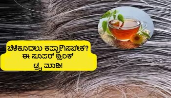 ಕೂದಲನ್ನು ನೈಸರ್ಗಿಕವಾಗಿ ಕಪ್ಪಾಗಿಸುತ್ತೆ ಈ ಡ್ರಿಂಕ್, ತಯಾರಿಸುವುದು ಕೂಡ ತುಂಬಾ ಸಿಂಪಲ್ಲಾಗಿದೆ!