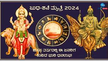 Shani Budh Yuti: ಮೂರು ದಶಕಗಳ ಬಳಿಕ ಬುಧ ಶನಿ ಮೈತ್ರಿ, ಈ ರಾಶಿಯವರಿಗೆ ಸುವರ್ಣ ಯುಗ 