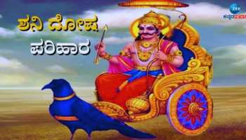 Shani Dosha: ಶನಿ ದೋಷದಿಂದ ಪರಿಹಾರಕ್ಕೆ ಸರಳ ಉಪಾಯಗಳು 