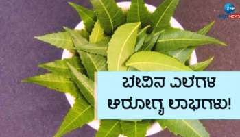 Neem Leaves Benefits: ನಿತ್ಯ ಮುಂಜಾನೆ ಖಾಲಿ ಹೊಟ್ಟೆಯಲ್ಲಿ ಬೇವಿನ ಎಲೆ ಜಗಿಯುವುದರಿಂದ ಸಿಗುತ್ತೆ ಈ 5 ಪ್ರಮುಖ ಲಾಭ 