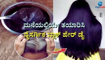 Natural Black Hair Dye: ನಿಮ್ಮ ಮನೆಯಲ್ಲಿಯೇ ತಯಾರಿಸಿ ನೈಸರ್ಗಿಕ ಬ್ಲಾಕ್ ಹೇರ್ ಡೈ 