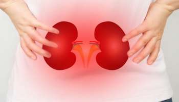 oil for healthy kidney : ಕಿಡ್ನಿ ಆರೋಗ್ಯವಾಗಿರಬೇಕಾದರೆ ಈ ಎಣ್ಣೆಯನ್ನೇ ಬಳಸಬೇಕು !