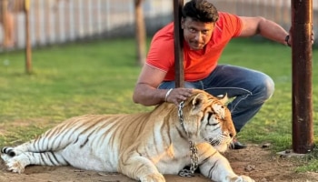 Darshan ​Photos: ಕೊರಳಲ್ಲಿ ಹಾವು, ಹುಲಿ ಜೊತೆ ಆಟ.. ದರ್ಶನ್‌ ವಿದೇಶ ಪ್ರವಾಸ ಹೇಗಿದೆ ನೋಡಿ! 