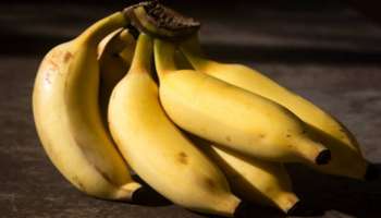 Banana: ಚಳಿಗಾಲದಲ್ಲಿ ಪ್ರತಿದಿನ ಬಾಳೆಹಣ್ಣು ತಿನ್ನಬಹುದೇ? ತಜ್ಞರು ಏನು ಹೇಳುತ್ತಾರೆ?