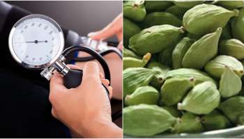 ಕೇವಲ ಎರಡು ಚಿಟಿಕೆ ಏಲಕ್ಕಿ ಪುಡಿಯಿಂದ BP ಕಂಟ್ರೋಲ್‌ ಮಾಡಬಹುದು..! ಹೇಗೆ ಗೊತ್ತೆ