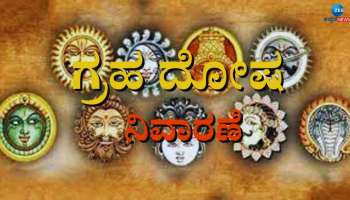 Graha Dosha: ಪ್ರಾಣಿ ಸೇವೆಯಿಂದಲೂ ಸಿಗುತ್ತೆ ಗ್ರಹ ದೋಷದಿಂದ ಮುಕ್ತಿ 