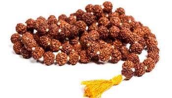 Rudraksha: ರುದ್ರಾಕ್ಷಿ ಧರಿಸುವುದರಿಂದ ಆಗುವ ಆರೋಗ್ಯ ಪ್ರಯೋಜನಗಳಿವು