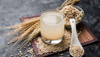 Barley Benefits: ಪ್ರತಿದಿನ ಬಾರ್ಲಿ ನೀರು ಕುಡಿದರೆ ಏನಾಗುತ್ತೆ? ಸಿಗುವ ಆರೋಗ್ಯ ಪ್ರಯೋಜನಗಳೇನು?