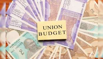 Budget 2024: ಈ ಬಾರಿಯ ಬಜೆಟ್ ನಲ್ಲಿ ಯಾವುದೂ ಅಗ್ಗವೂ ಅಲ್ಲ, ಯಾವುದೂ ದುಬಾರಿಯಲ್ಲ ! ಕಾರಣ ಇದೇ