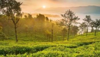 Karnataka Weather: ರಾಜ್ಯದಲ್ಲಿ ಮುಂದುವರೆದ ಒಣಹವೆ: ಕರ್ನಾಟಕದಲ್ಲಿ ಹೆಚ್ಚಾಗಲಿದೆ ಉಷ್ಣಾಂಶ!
