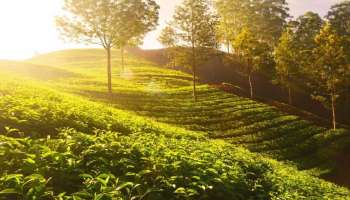 Karnataka Weather: ಬೆಂಗಳೂರು ಸೇರಿದಂತೆ ಹಲವು ಜಿಲ್ಲೆಗಳಲ್ಲಿ ರಣಬಿಸಿಲು ಹೆಚ್ಚಾಗಲಿದೆ!