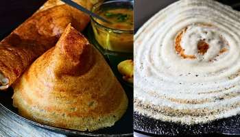 Wheat Rava Dosa: ನಿಮಗೆ ಏನನ್ನೂ ತಿನ್ನಲು ಇಷ್ಟವಿಲ್ಲದಿದ್ದರೆ..! ಈ ದೋಸಗಳನ್ನು ಪ್ರಯತ್ನಿಸಿ