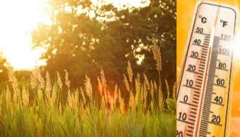 Karnataka Weather:ಕರ್ನಾಟಕದಲ್ಲಿ ಮುಂಬರುವ ದಿನಗಳಲ್ಲಿ ಹೆಚ್ಚಾಗಲಿದೆ ಬಿಸಿಲಿನ ತಾಪಮಾನ! 