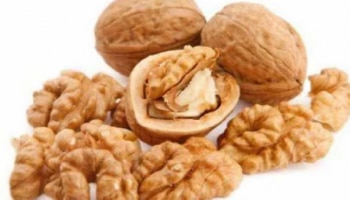 Walnut Benefits: ಪೌಷ್ಟಿಕಾಂಶದ ಶಕ್ತಿ ಕೇಂದ್ರ ವಾಲ್ನಟ್ ಸೇವನೆಯಿಂದ ಇಷ್ಟೆಲ್ಲಾ ಲಾಭಗಳಿವೆ
