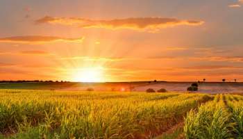 Karnataka Weather: ರಾಜ್ಯದ ಬಹುತೇಕ ಜಿಲ್ಲೆಗಳಲ್ಲಿ ತಾಪಮಾನದಲ್ಲಿ ಏರಿಕೆ!