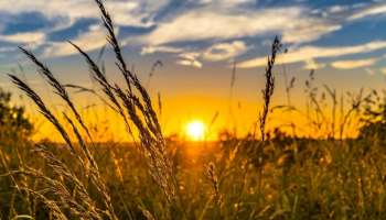 Karnataka Weather: ಕರ್ನಾಟಕದಲ್ಲಿ ಬಿಸಲಿನ ತಾಪಮಾನ ಹೆಚ್ಚಳ: ಕರಾವಳಿ ಭಾಗದಲ್ಲಿ ಸೆಕೆ ಏರಿಕೆ!