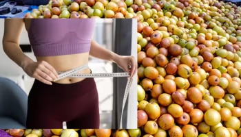 Weight Loss Fruit: ತೂಕ ಇಳಿಕೆಗೆ ರಾಮಬಾಣ ಉಪಾಯ ಈ ಶಬರಿ ಹಣ್ಣು! ಇನ್ನೇನು ಸೀಸನ್ ಮುಗಿತಾ ಬಂತು!