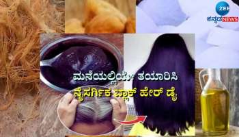 White Hair: ನೈಸರ್ಗಿಕವಾಗಿ ಬಿಳಿ ಕೂದಲನ್ನು ಕಪ್ಪಾಗಿಸಲು ಮನೆಯಲ್ಲೇ ತಯಾರಿಸಿ ಈ ಹೇರ್ ಡೈ 