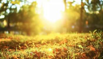 Karnataka Weather: ಬೆಂಗಳೂರು ಸೇರಿದಂತೆ ಹಲವು ಜಿಲ್ಲೆಗಳಲ್ಲಿ ಬಿಸಿಲಿನ ವಾತಾವರಣ ಇರಲಿದೆ!