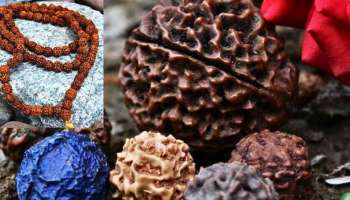 Rudraksha: ರುದ್ರಾಕ್ಷಿ ಧರಿಸುವುದರಿಂದಾಗುವ  ಪ್ರಯೋಜನಗಳನ್ನು ತಿಳಿದರೆ ನೀವು ಶಾಕ್‌ ಆಗುತ್ತೀರಾ..