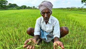 Farmers Scheme: ರೈತರಿಗೆ ಗುಡ್‌ ನ್ಯೂಸ್‌..!&#039;ಒಂದು ಗ್ರಾಮ-ಒಂದು ಬೆಳೆ&#039;ಯೋಜನೆ ಆರಂಭ..!