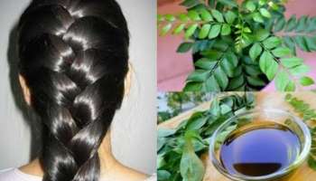 Oil for Stronger Hair: ಕೂದಲು ಉದುರುವುದನ್ನು ತಡೆಯಲು ರಾಮಬಾಣ ಈ ಎಣ್ಣೆ! ಆದರೆ ಹೀಗೆ ಬಳಸಿ