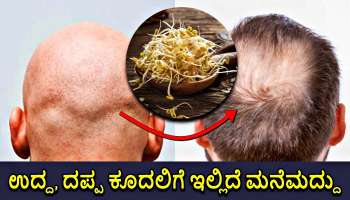 Long Hair: ಬೋಳು ತಲೆಯಲ್ಲೂ ದಪ್ಪ ಉದ್ದ ಕೂದಲು ಬೆಳೆಯಲು ಈ ಕಾಳು ತಿನ್ನಿ ಸಾಕು!