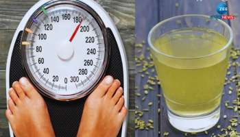 Weight Loss Drinks: ತೂಕ ನಷ್ಟಕ್ಕಾಗಿ ಬೆಸ್ಟ್ 5 ಡಿಟಾಕ್ಸ್ ಪಾನೀಯಗಳು 