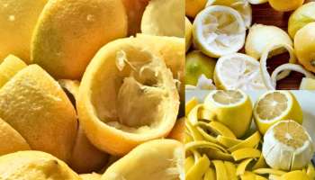 Lemon Peel: ರಸವನ್ನು ತೆಗೆದ ನಂತರ ನಿಂಬೆ ಸಿಪ್ಪೆಯನ್ನು ಎಂದಿಗೂ ಎಸೆಯಬೇಡಿ..! ಈ ರೀತಿ ಬಳಸಿ