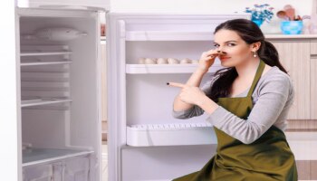 Fridge Cleaning Tips: ರೆಫ್ರಿಜರೇಟರ್ ನ್ನು ಯಾವಾಗಲೂ ಫ್ರೆಶ್ ಆಗಿ ಇರಿಸಿಕೊಳ್ಳುವುದು ಹೇಗೆ ಗೊತ್ತೇ?