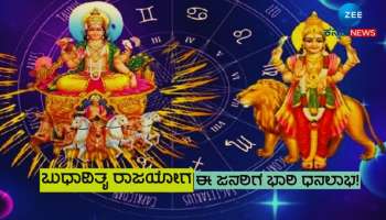 Budhaditya Rajyoga: ಮೀನ ರಾಶಿಯಲ್ಲಿ ಬುಧಾದಿತ್ಯ ರಾಜಯೋಗ, 4 ರಾಶಿಯವರಿಗೆ ಬಂಪರ್ ಧನಲಾಭ 