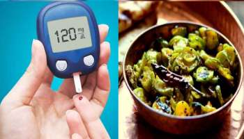 Diabetes Diet ಆಗಿ ಸೇವಿಸಿ ಈ ಸಣ್ಣ ತರಕಾರಿ ! ತಿಂದ ತಕ್ಷಣ ನಾರ್ಮಲ್ ಆಗಿ ಬಿಡುತ್ತದೆ ಬ್ಲಡ್ ಶುಗರ್