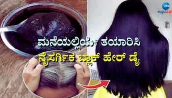 White Hair Remedies: ಅರಿಶಿನದೊಂದಿಗೆ ಈ ಪದಾರ್ಥಗಳನ್ನು ಬೆರೆಸಿ ಹಚ್ಚಿದರೆ ಬುಡದಿಂದಲೂ ಕಪ್ಪಾಗುತ್ತೆ ಕೂದಲು!