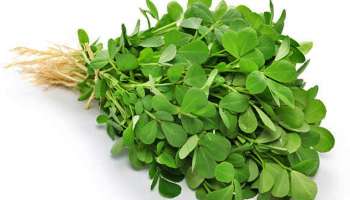 Fenugreek Leaves Benefits: ಮೆಂತ್ಯ ಸೊಪ್ಪನ್ನು ತಿನ್ನುವುದರಿಂದ ಸಿಗುವ 5 ಅದ್ಭುತ ಪ್ರಯೋಜನಗಳಿವು, ಬೇಸಿಗೆಯಲ್ಲಂತೂ ಮಿಸ್‌ ಮಾಡಲೇ ಬೇಡಿ !