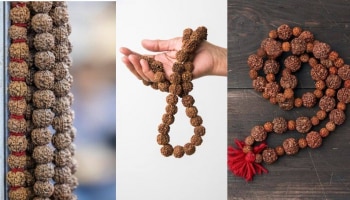 Rudraksha Remedies: ಶನಿಯ ಸಾಡೇಸಾತಿ ಕಾಟದಿಂದ ಮುಕ್ತಿ ನೀಡುತ್ತೇ ಈ ಪ್ರಕಾರದ ರುದ್ರಾಕ್ಷ!