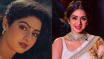 Sridevi : ಶ್ರೀದೇವಿಗೆ ಸ್ಟಾರ್ ಪಟ್ಟ ಬರಲು ಕಾರಣವೇ ಈ ನಟಿ.!